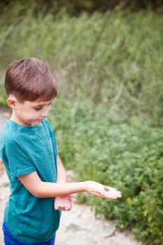 Boy Holding Small Frog At Outdoor Activity Camp Catch To Study Pond Life