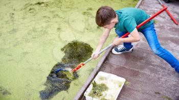 Boy On Outdoor Activity Camp Catching And Studying Pond Life