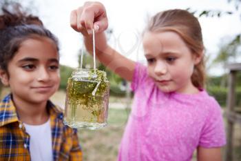 Two Girls Looking At Glass Jar Studying Pond Life At Outdoor Activity Camp