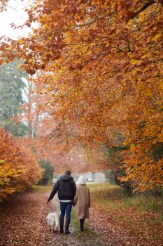 Rear View Of Senior Couple Walking With Pet Golden Retriever Dog Along Autumn Woodland Path