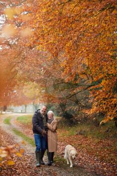 Loving Senior Couple Walking With Pet Golden Retriever Dog Along Autumn Woodland Path Through Trees