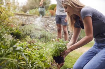 Couple Working Outdoors In Garden At Home Digging And Planting