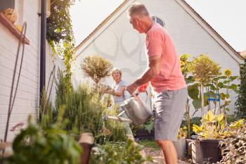 Retired Couple At Work Watering And Caring For Plants In Garden At Home
