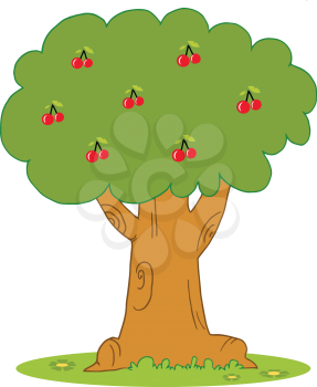 Royalty Free Clipart Image of a Cherry Tree