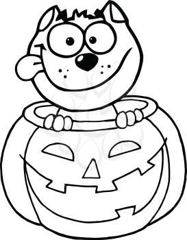 Royalty Free Clipart Image of a Cat in a Jack-o-Lantern