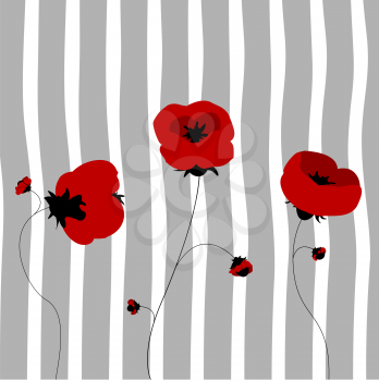 Poppies in the spring, clip art