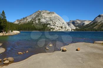 Royalty Free Photo of a Shallow Lake in Yosemite National Park