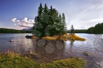 Royalty Free Photo of a Small Island on a Lake