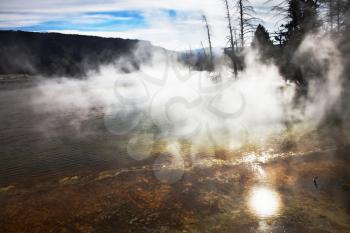 Royalty Free Photo of a Geyser in Yellowstone Park
