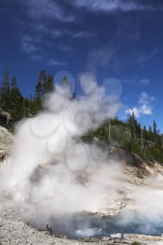 Royalty Free Photo of a Geyser in Yellowstone Park