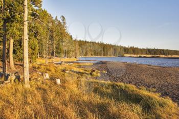 Royalty Free Photo of the Yellowstone National Park