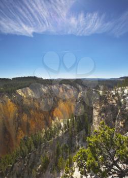 Royalty Free Photo of a Canyon in Yellowstone National Park