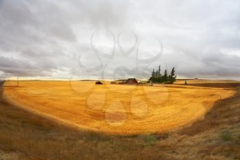 Royalty Free Photo of a Field in Montana