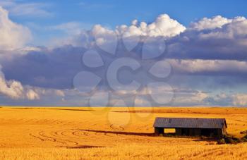 Royalty Free Photo of a Shed in a Field