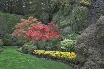 Royalty Free Photo of a Garden on Vancouver Island