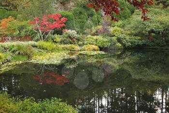 Royalty Free Photo of a Pond in a Garden