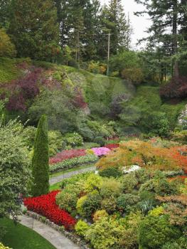 Royalty Free Photo of Flowers in the Butcharts Garden in Canada