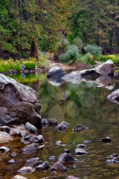 Royalty Free Photo of a Brook in Sequoia Park