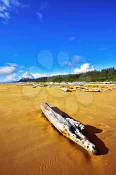 Royalty Free Photo of a Log on a Beach in Vancouver