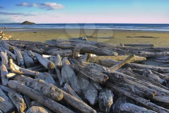 Royalty Free Photo of a Logs on a Beach in Canada