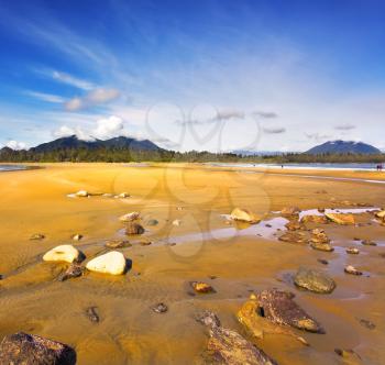 Royalty Free Photo of a Beach on the Pacific Coast