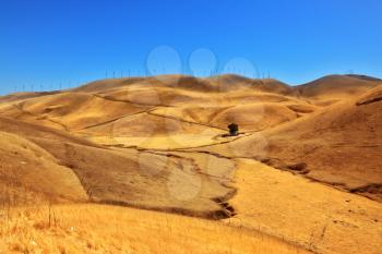 Royalty Free Photo of the Hills of California