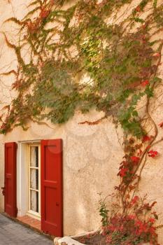  A window with red jalousie and branches of an ivy on a wall of the house in settlement Verdon