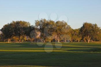 A wonderful green grass golf course and picturesque trees highlights the warm rays of the sunset