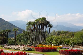  Park Villa Taranto, bright red, yellow and white flowers and palms. Magnificent tranquil landscape.