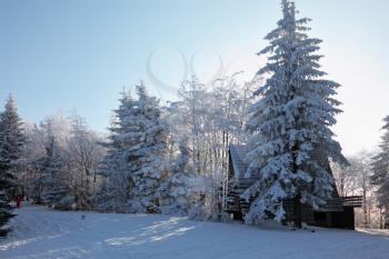 Sunny winter morning. Skier in a red track suit in the Tatras. Forest and rural wooden house with high roof


