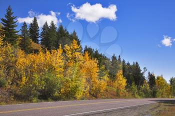 Road to national park Glacier in autumn paints