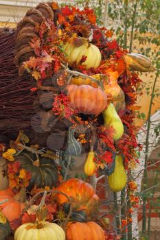 Winter garden in a lobby of magnificent hotel. A harvesting holiday: baskets and vases with multi-colored pumpkins, flowers and autumn leaves