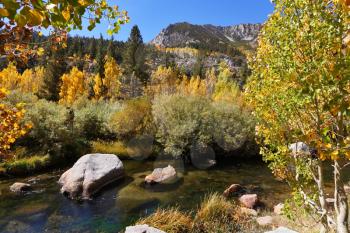 Charming stream with clean water among the colorful yellow and orange bushes and trees