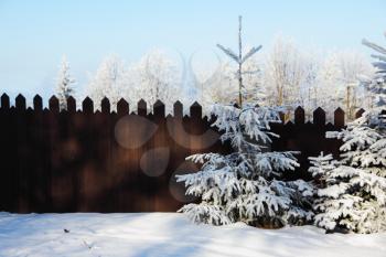 Frosty winter morning. Fairytale gear fence and trees in the snow in the sun
