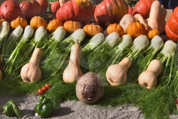  An exhibition of vegetables on an autumn holiday in Annecy in the French Alpes