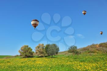 Three bright balloons with a passenger basket fly by over spring blossoming fields
