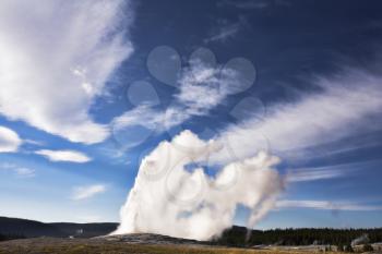 Boiling geothermal geyser in most well-known park of the world - Yellowstone 
national park       
