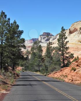 Bright sunny day to Zion National park. The fine road passes through all park between picturesque hills of striped sandstone
