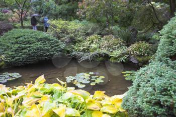  Tourists walk under a fine rain in Japanese  garden