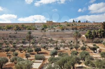 The protective wall of Jerusalem and the walled in ancient times the famous Golden Gate. Huge garden of olive trees