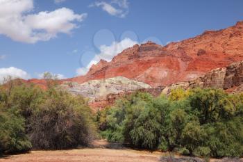 Red desert. Red rocks in the desert of California. U.S.
