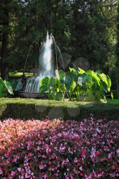 This charming fountain in a beautiful park. A huge bed of pink flowers