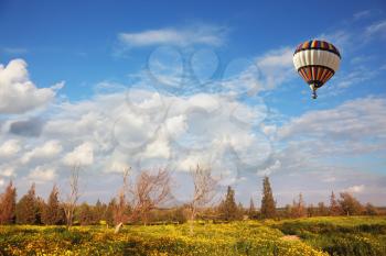  A huge balloon over the blossoming field. Scenic cumulus clouds. Sunset