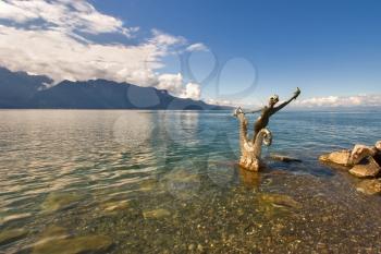 The bronze goddess of water on a sea animal stands in coastal waters of lake Leman in Switzerland