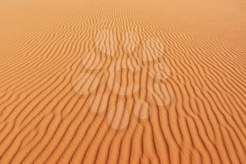 Early morning on the orange sand dunes. Gentle sand waves sparkle in the sun