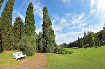 Romantic Landscape Park -  garden in Italy. White wooden bench at the edge of cypress groves. Photo taken fisheye lens