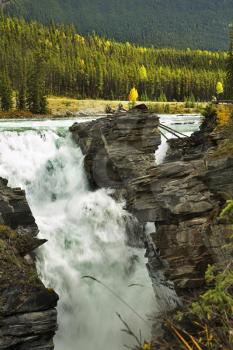  Falls Athabasca in a deep canyon in the north of Canada