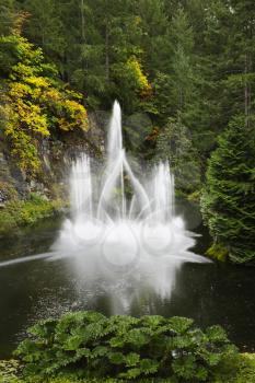   A magnificent fountain jet  in the lake surrounded by a dense forest