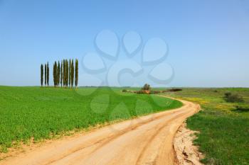Rural dirt road between green fields. Alley slender cypress trees beautifully into the landscape