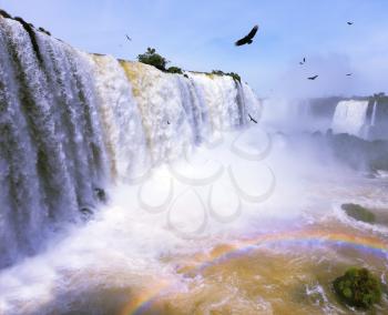 The most high-water waterfall in the world - Iguazu. White whipped foam of water and a thin mist over the water.  Between a waterfall and a rainbow fly huge Andean condors. The picture is taken by len